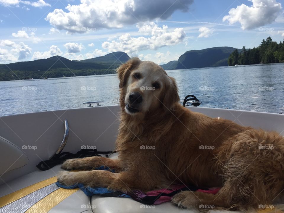 My dog. My boat. My mountains. My life.