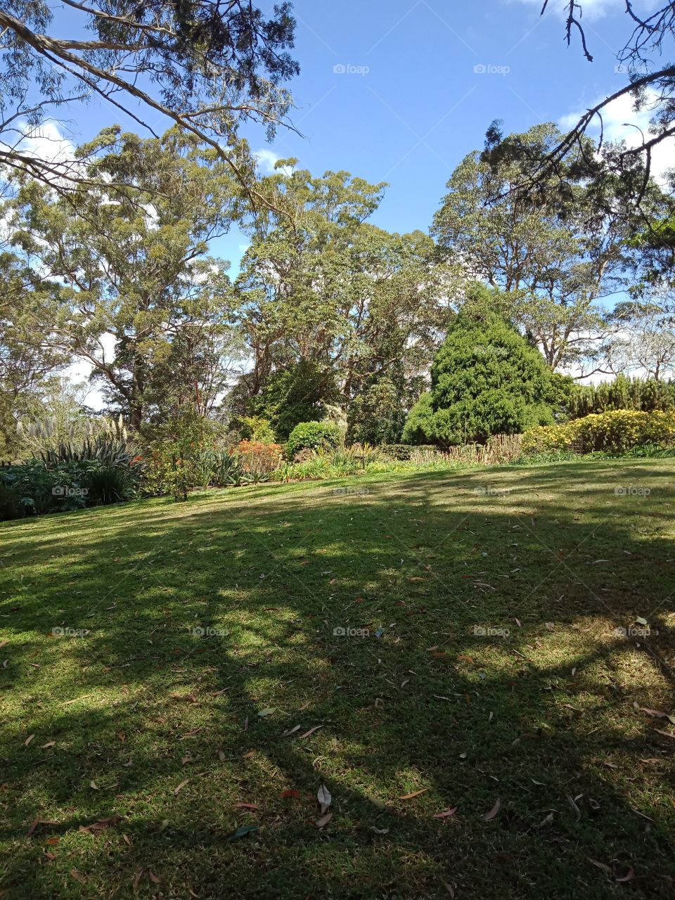 a large landscaped garden or park