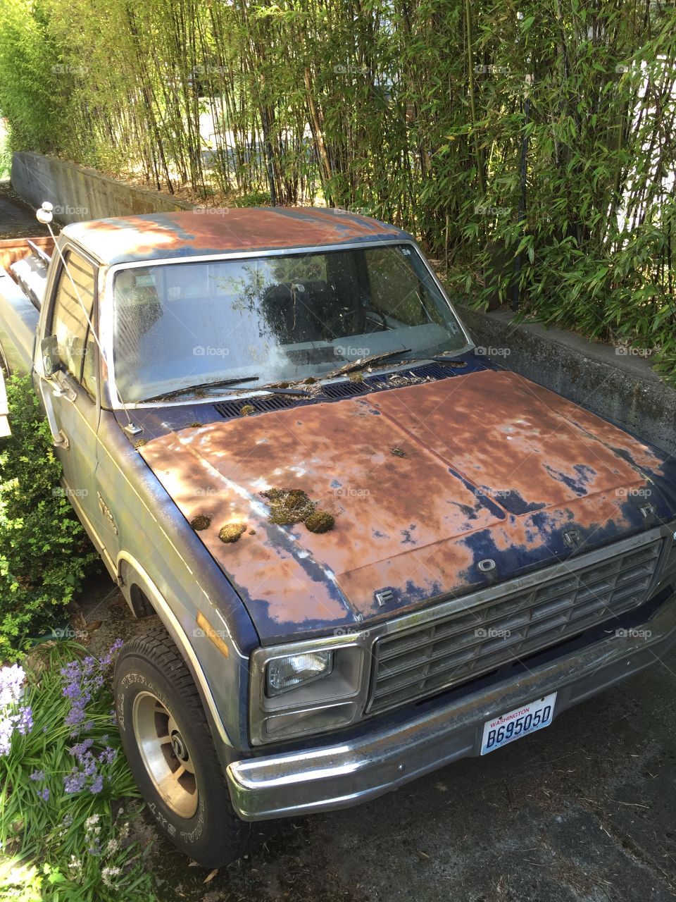 Old Ford truck 