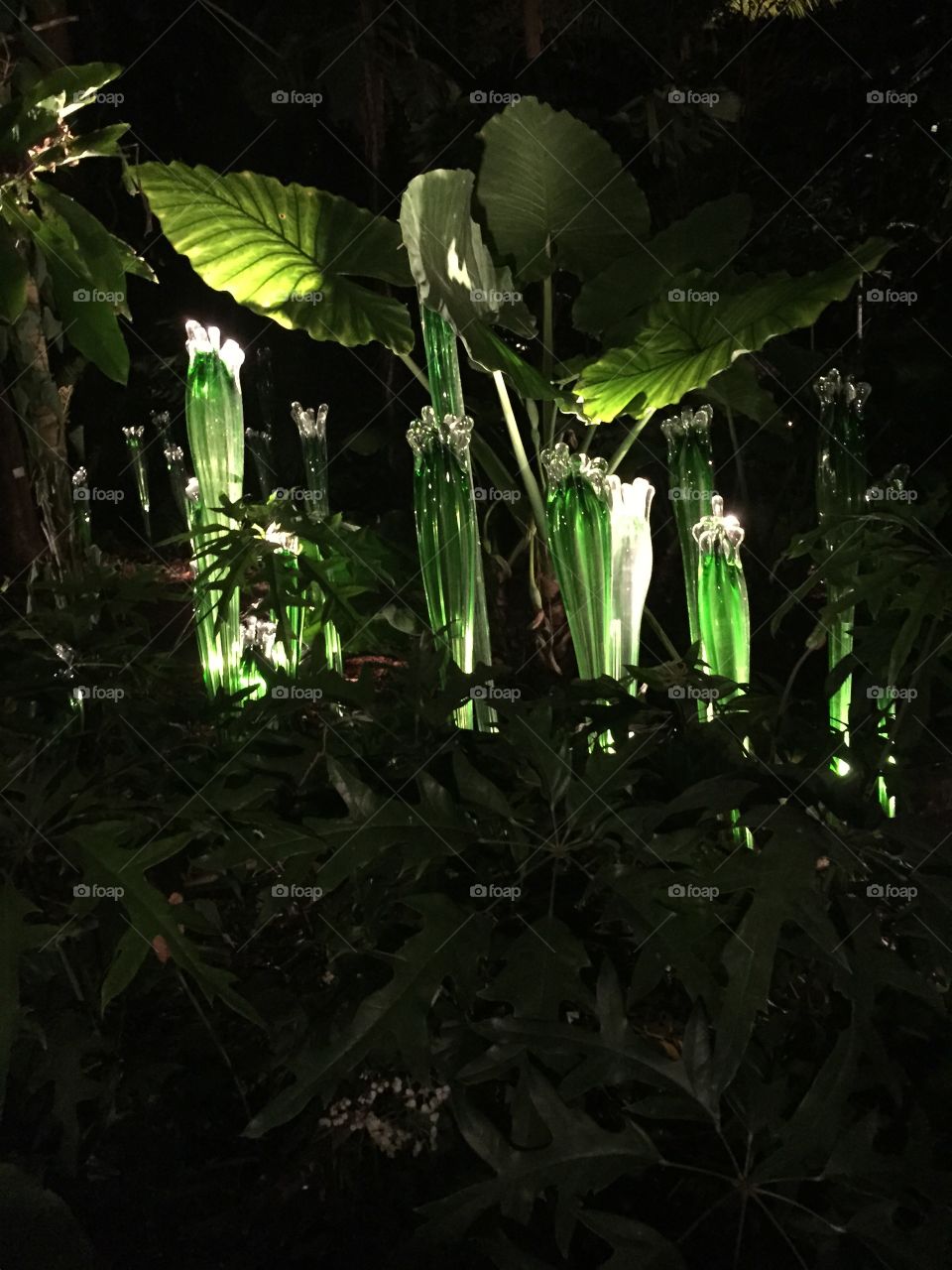 Green glass . Vegetation 