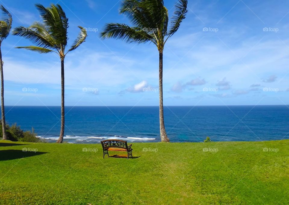Solitary . A bench overlooking a Hawaiian beach cliff 