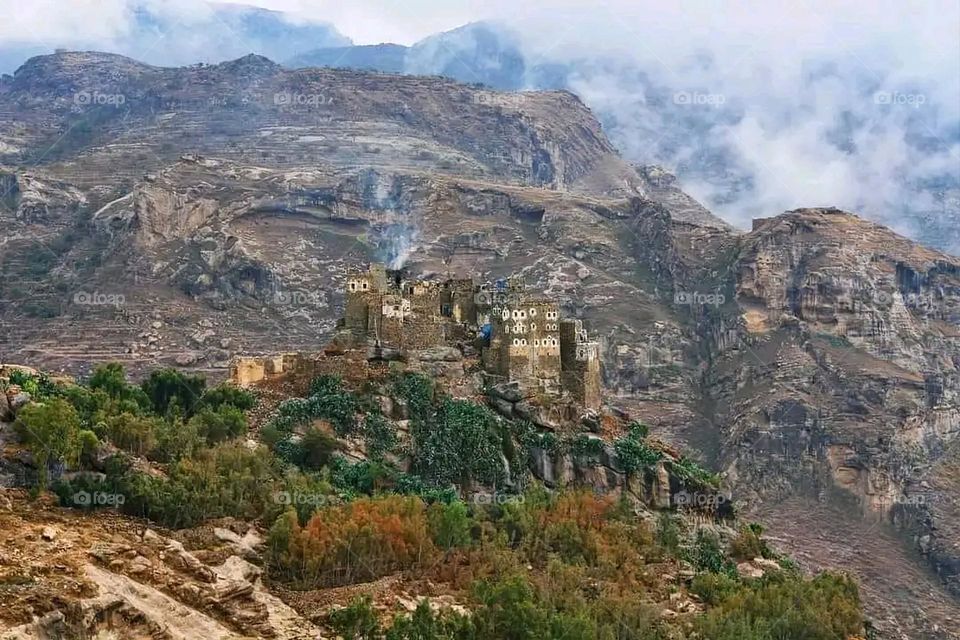 A very beautiful picture, and there is no better picture than it. There is no better picture of green herbs and colorful, red and white roses than it. Glory be to God, the natural and picturesque view, and there is no more