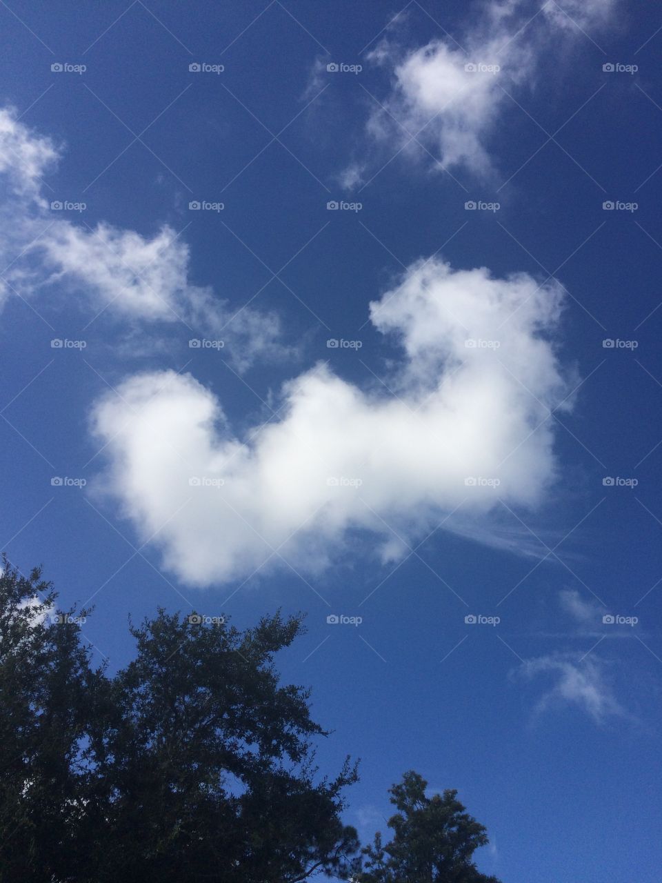 Big W upper body builder cloud