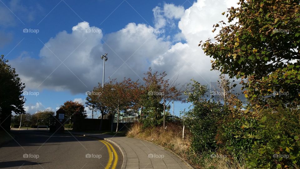 Road, Tree, No Person, Landscape, Street