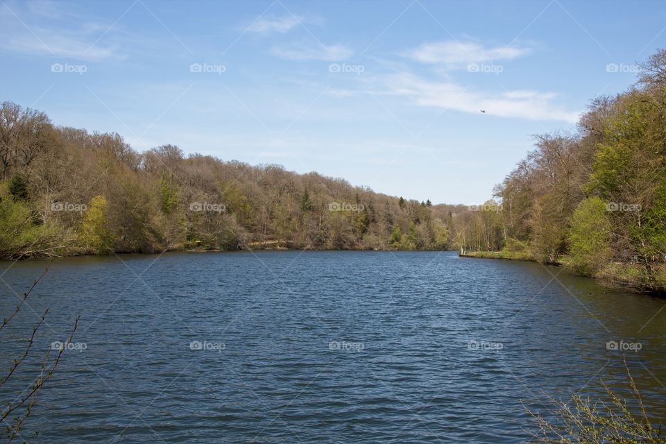 the river in the forest