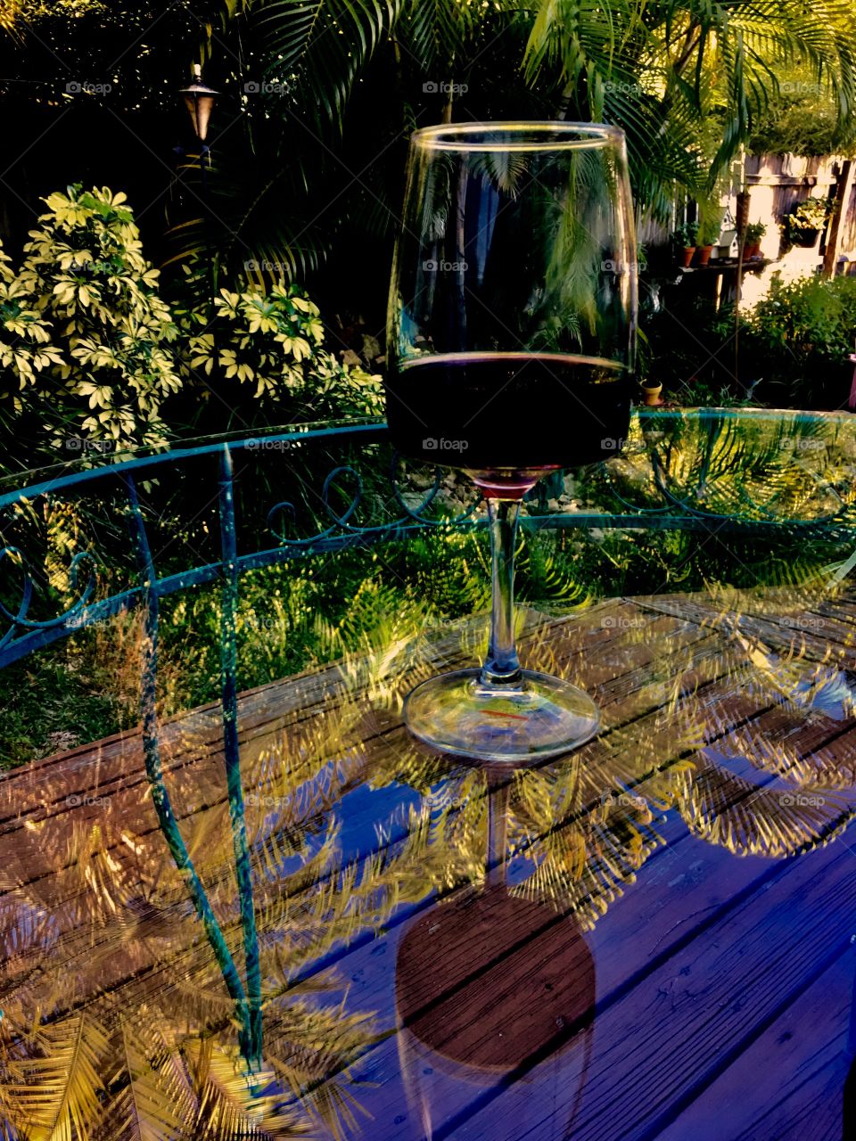 Reflections of a glass of wine and tropical trees on a glass table top. 
