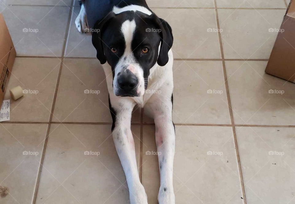 look at me, grandma is coming from far away and I just had a bath, my nails done and my ears cleaned. cant wait to see Grandma for the holidays...