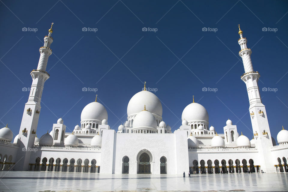 White domes and minaret