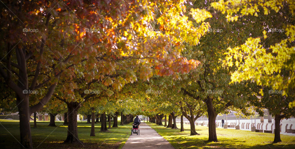 Autum walk at the park is everything anyone ever needs to relax and have a beautiful quiet time