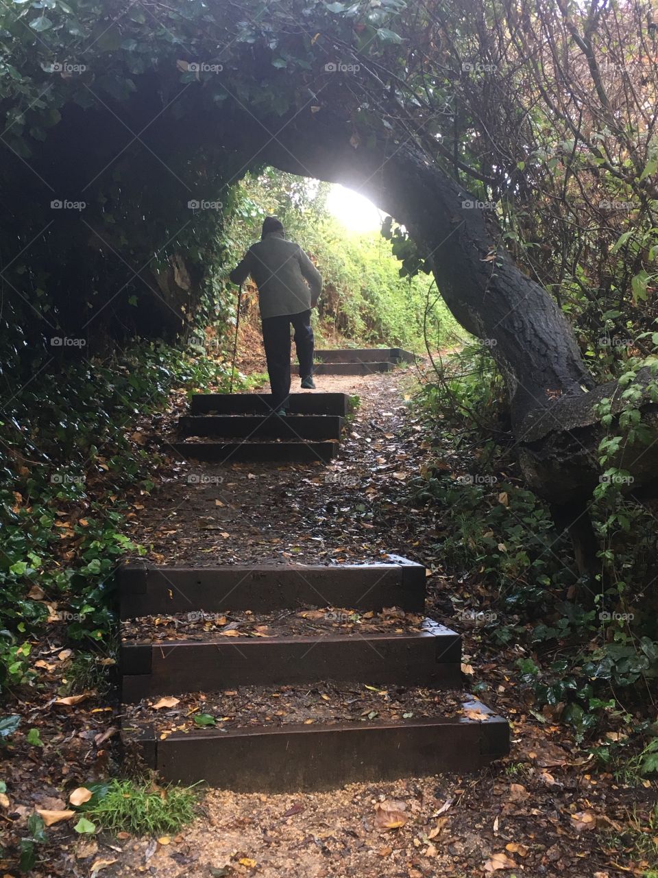 Elderly woman enjoying a wooded walk up the steps along a mysterious shrouded pathway 