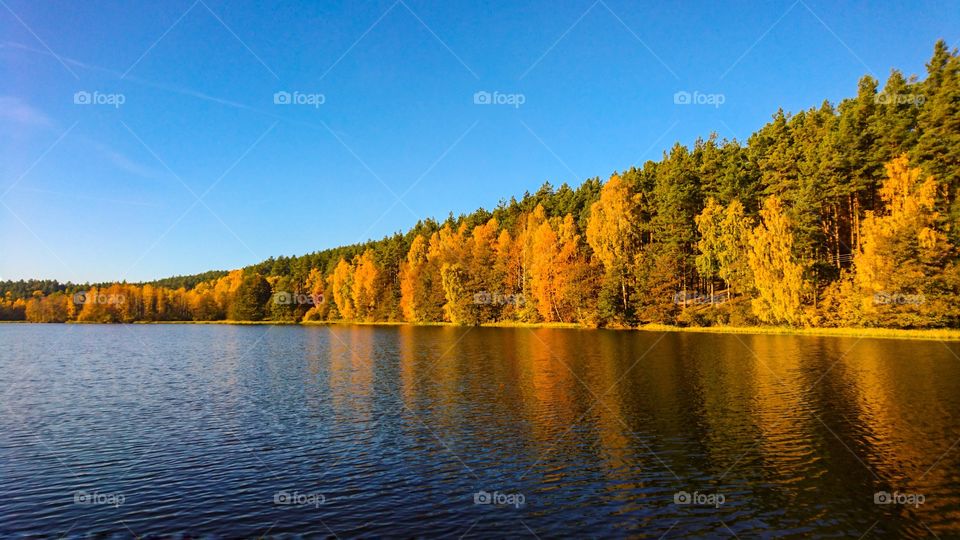 Fall, Lake, No Person, Water, Nature