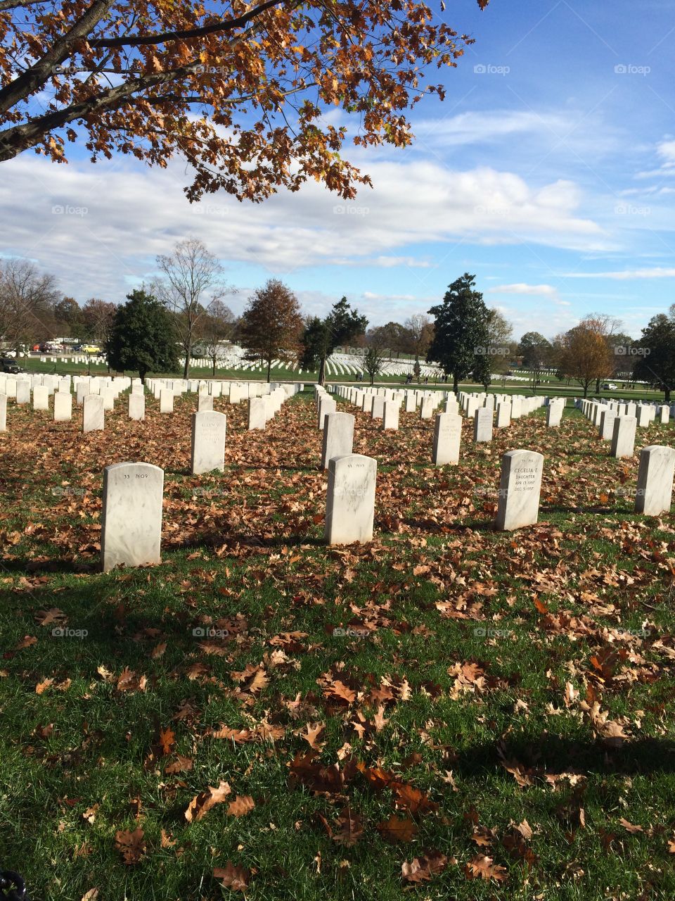 Arlington National Cemetery in the fall weather.