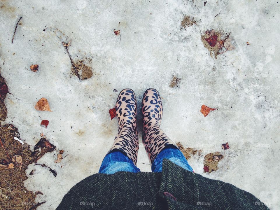 Dry leaves at the snow 