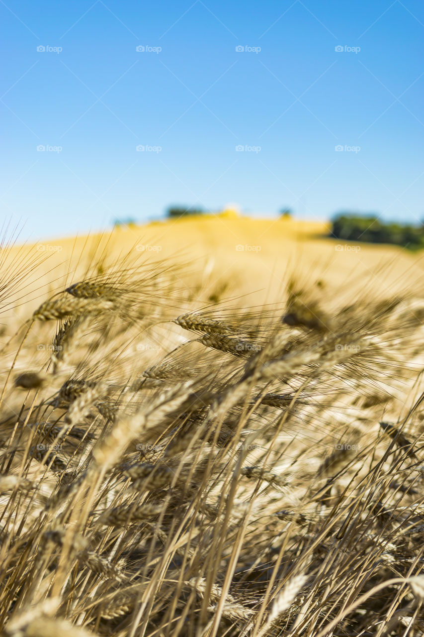 Tuscany & Marche