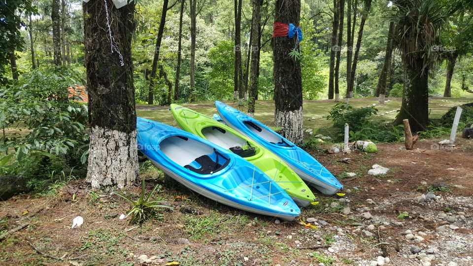 kayaks