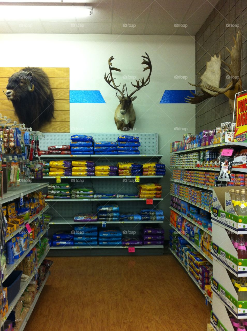 Shelf, Stock, Rack, Commerce, Inside