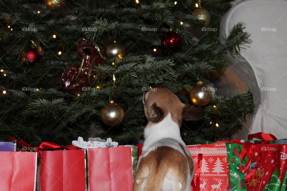 puppy and christmas tree