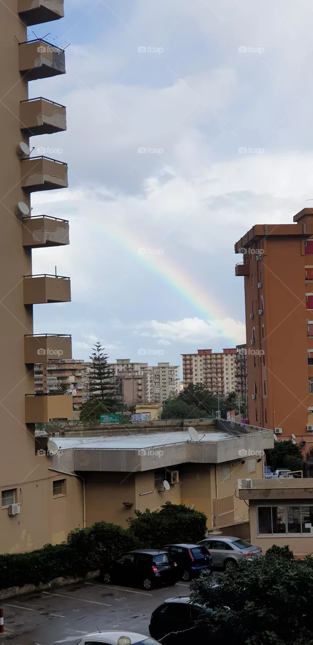 Rainbow