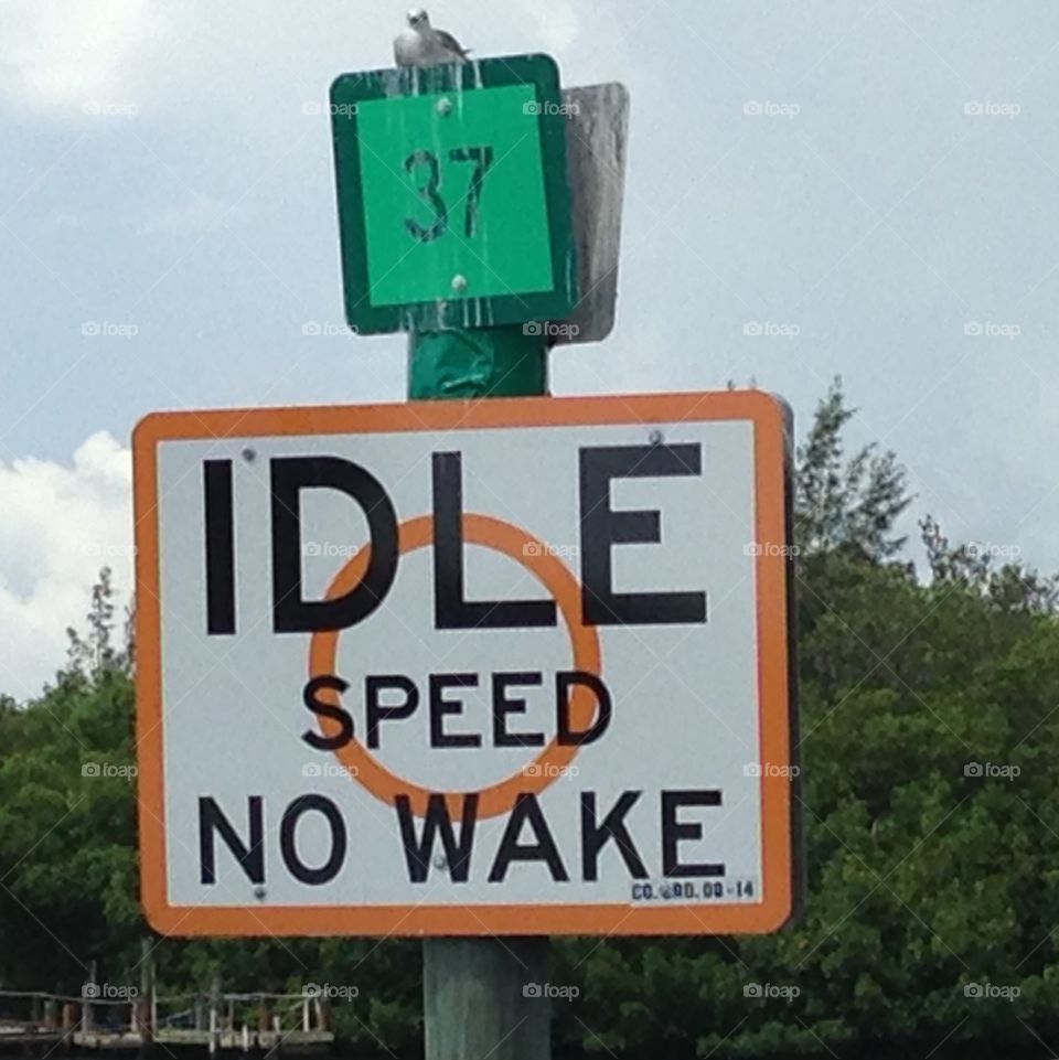 IDLE SPEED NO WAKE Sign