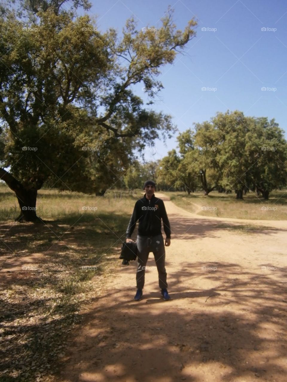 Waking in the forest 