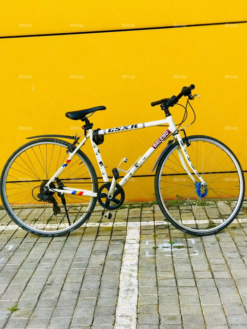 Two wheels, one love!🚲