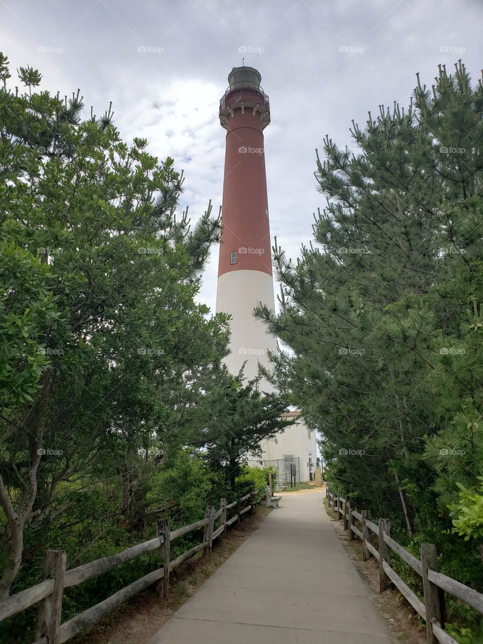 Path to Barnegat Lighthouse