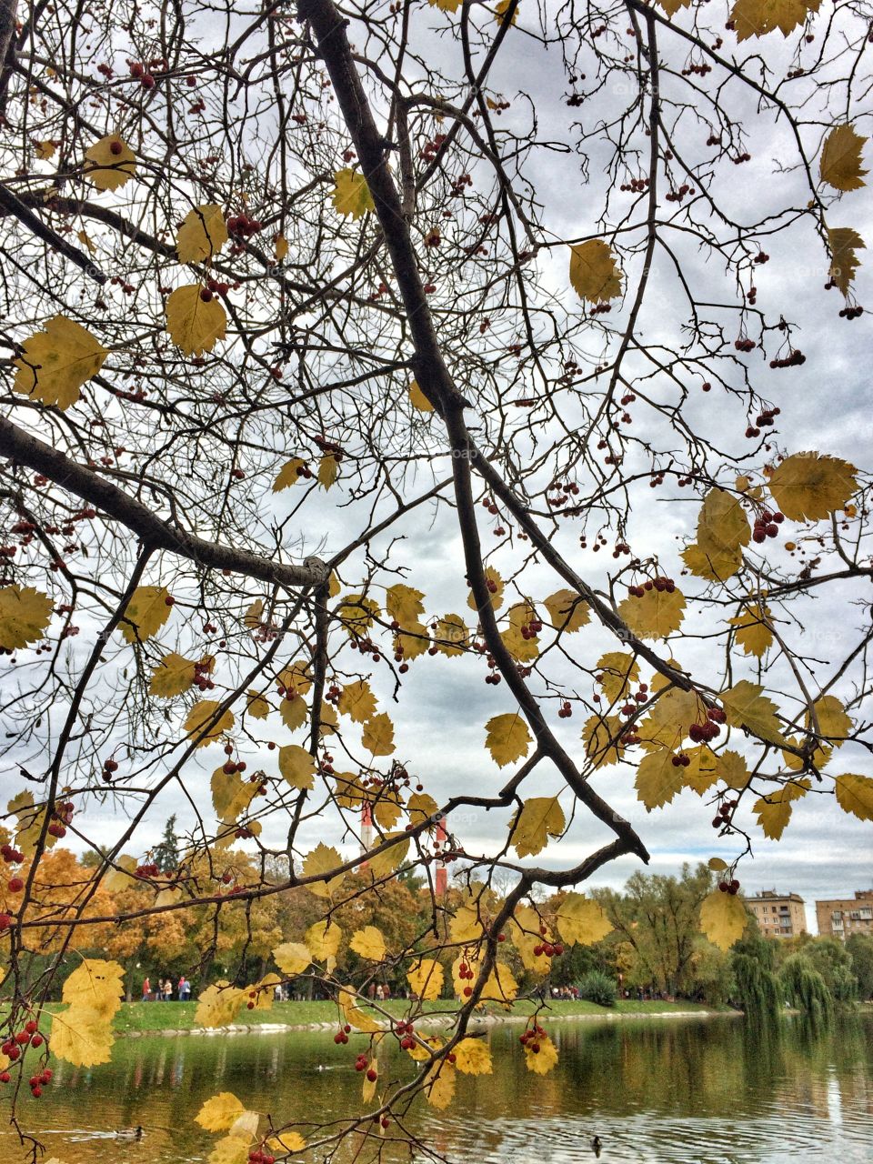 Moscow autumn 