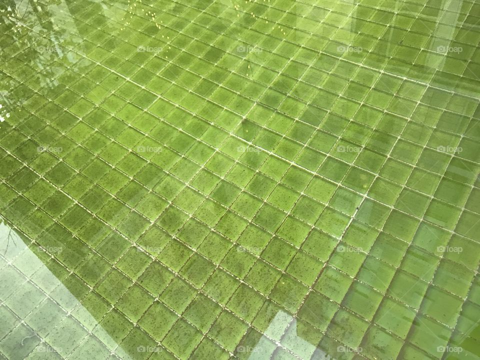 green tile