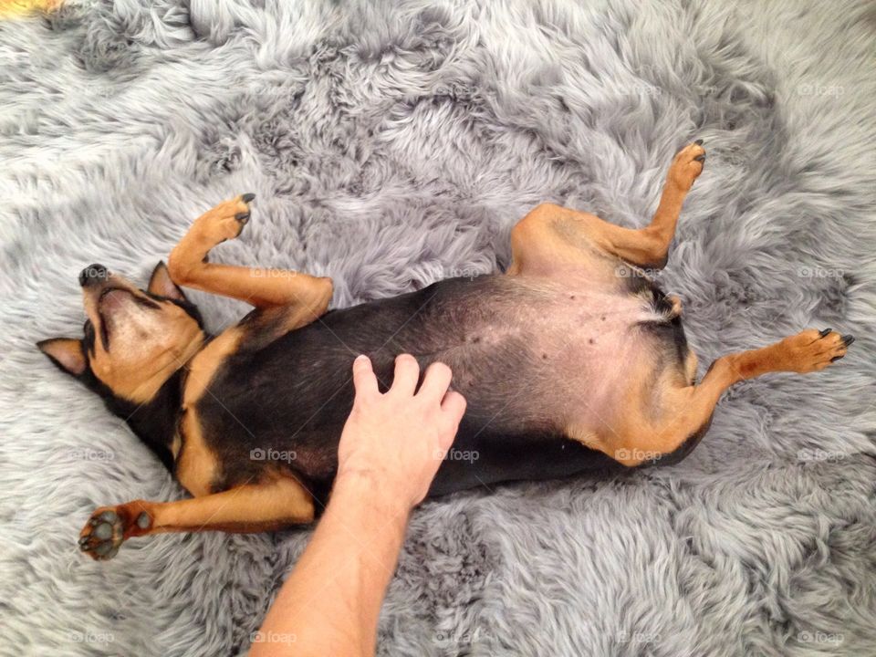 She is very exigency