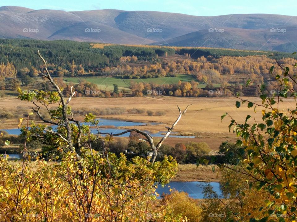 A view from the Cairngorms