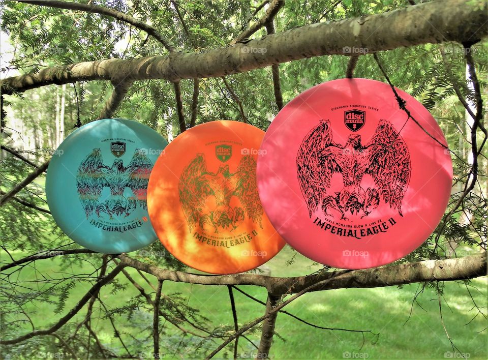 The Discmania Imperial Eagle II have landed