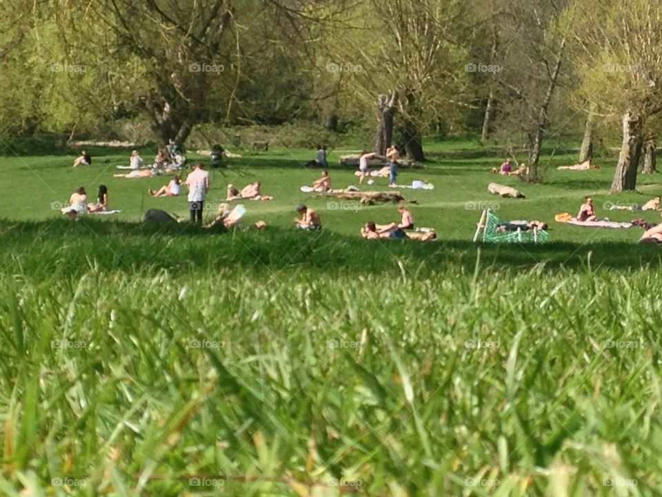 People sunbathing. Hampstead park first hot day of the year