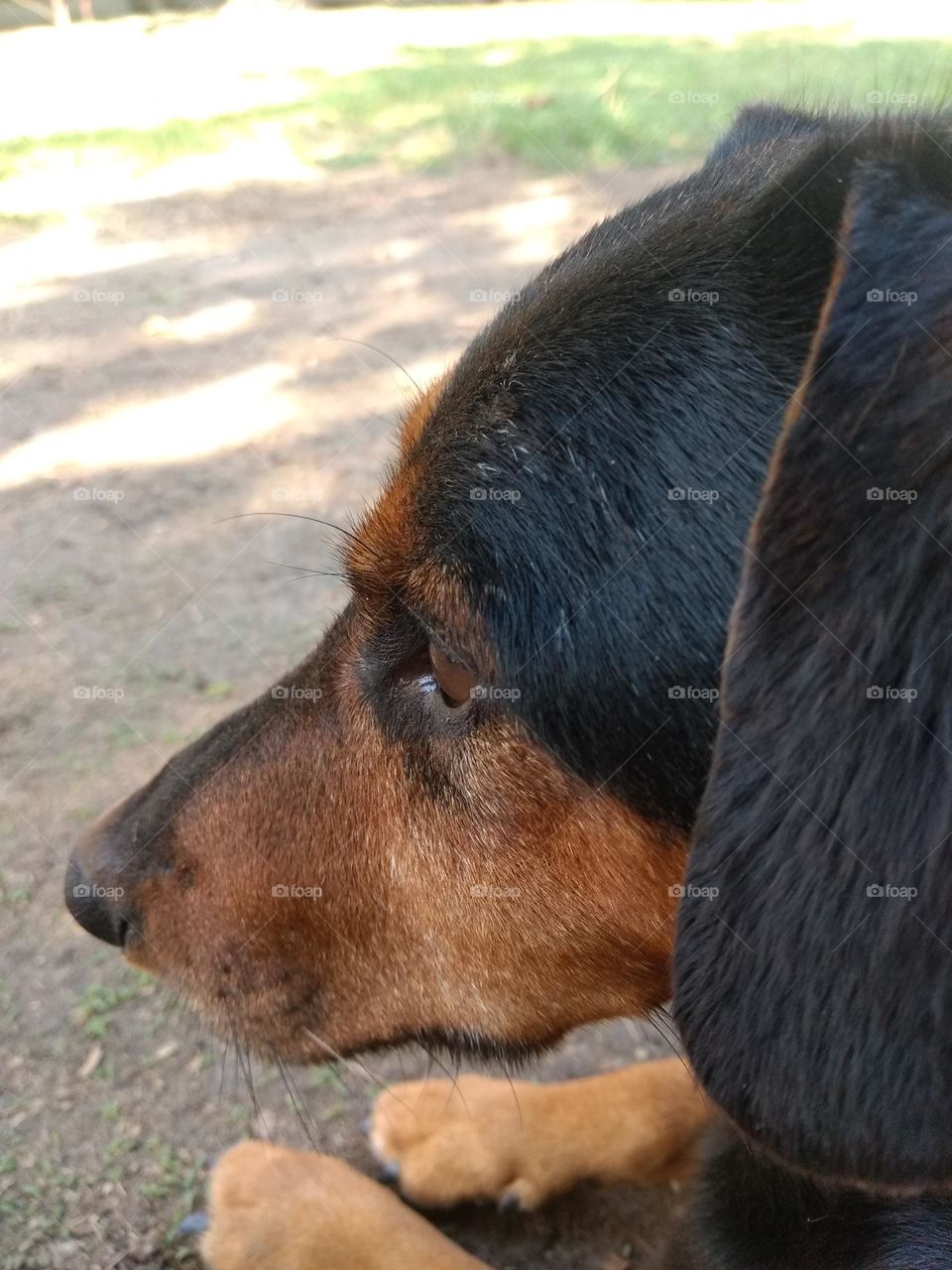 Editor's Choice - Photo of the Week