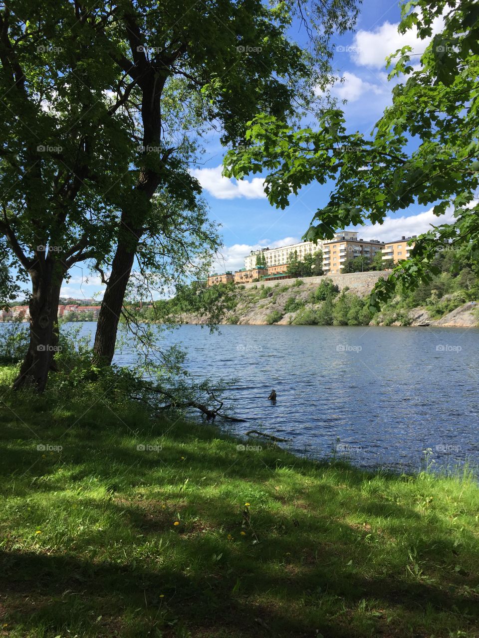 Summer in Stockholm