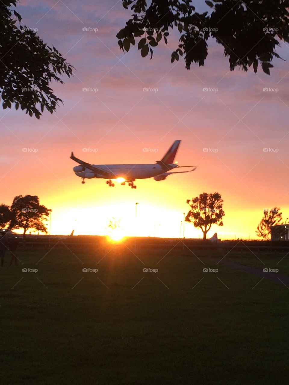 Sunset Jet Landing