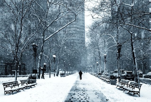 winter