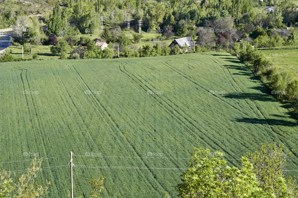 Fields