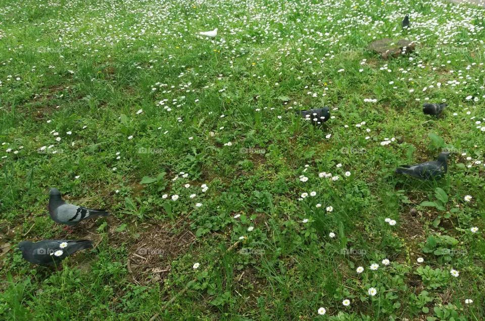 A beautiful creation of nature