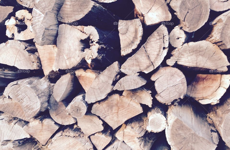 The wood pile