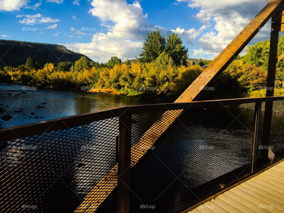 River from the bridge