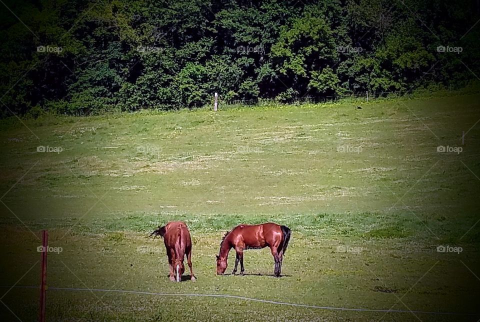 Driving the Back Roads and enjoying everything around us