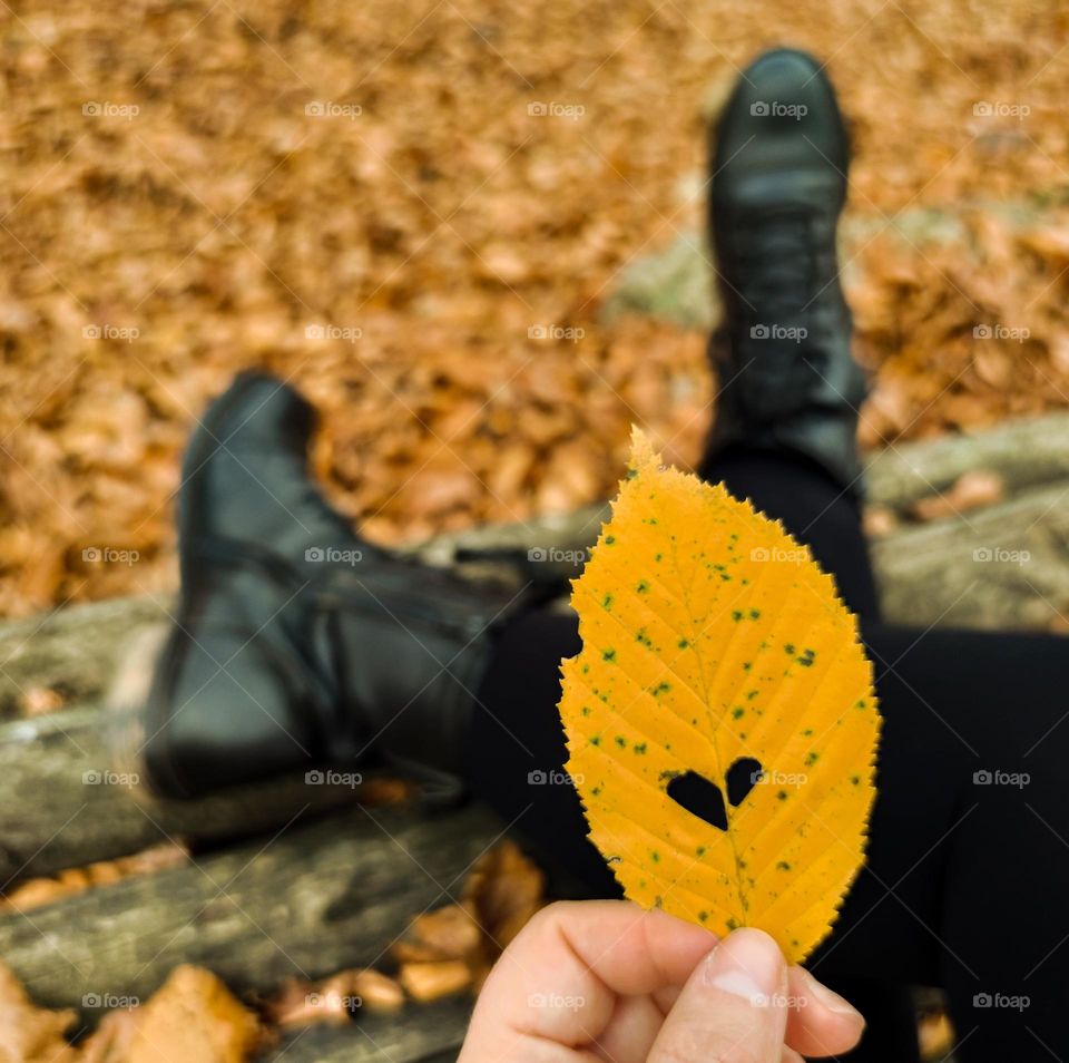 Autumn sign of love