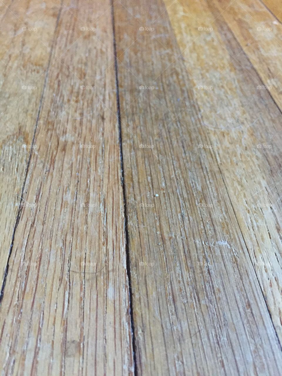 Macro wood
