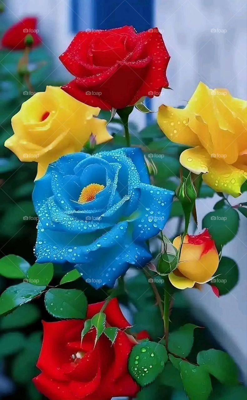 Glory be to God, the magnificent and picturesque view and the natural green trees are a view that is nothing more wonderful than it