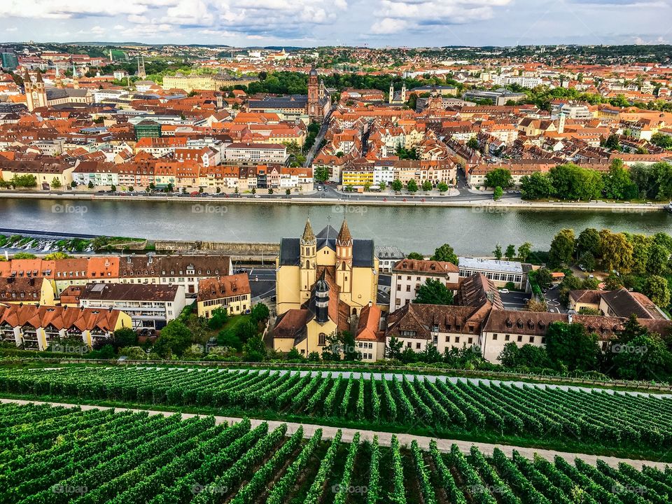 The view a king would see from his castle high above a city; a vineyard overlooking a large river with colorful buildings in the background.