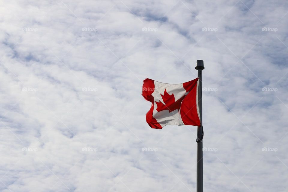 Flag waving on a breeze