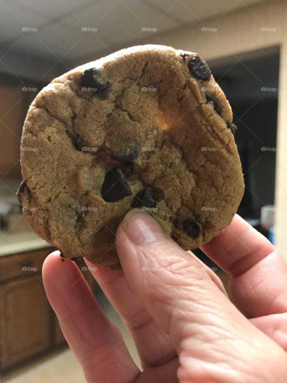 Chocolate chip cookie