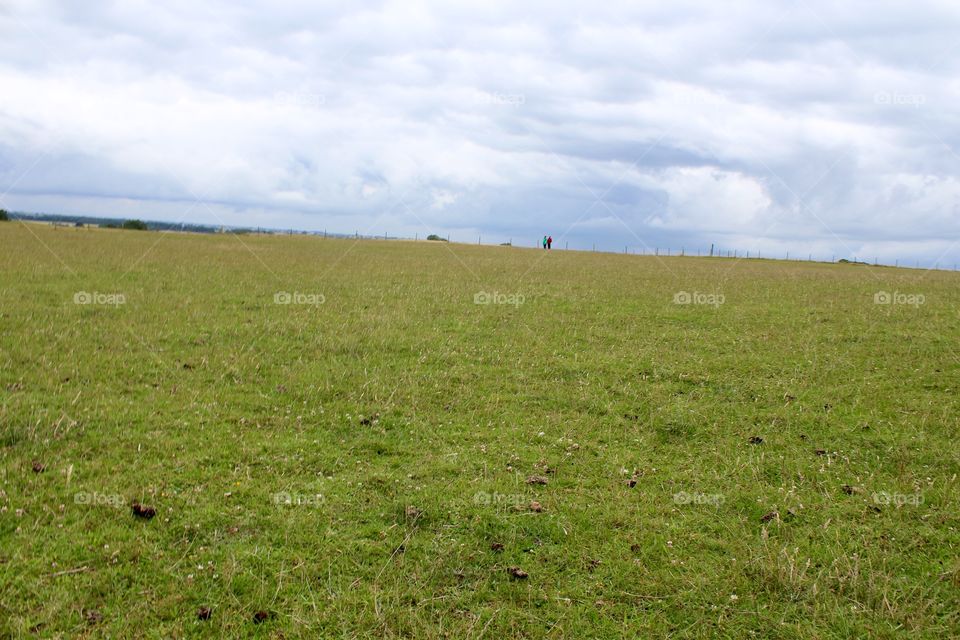 Landscape, Field, Grass, Agriculture, Grassland