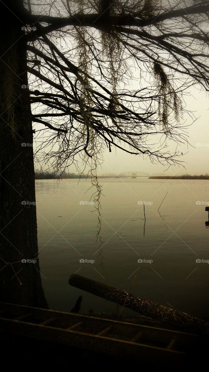 Water, Lake, Reflection, Dawn, Fog