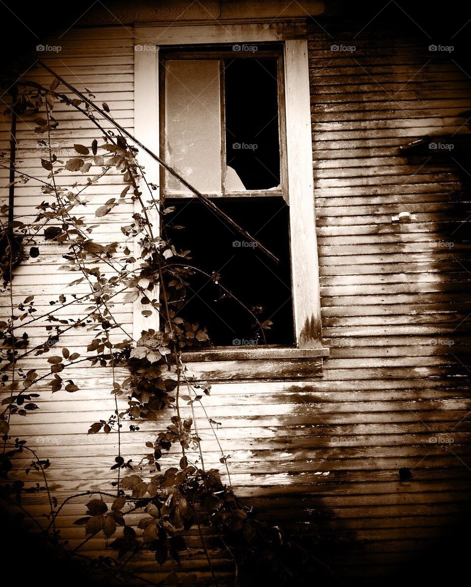 Broken but still standing 